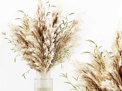 Beige Pampas Grass Arrangement in Clear Glass Vase on White Background for Modern Home Decor 3d model
