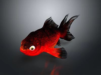 Vibrant Red Black Goldfish With Large Eyes Flowing Fins And Tail On Gray Background 3d model