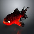 Vibrant Red Black Goldfish With Large Eyes Flowing Fins And Tail On Gray Background