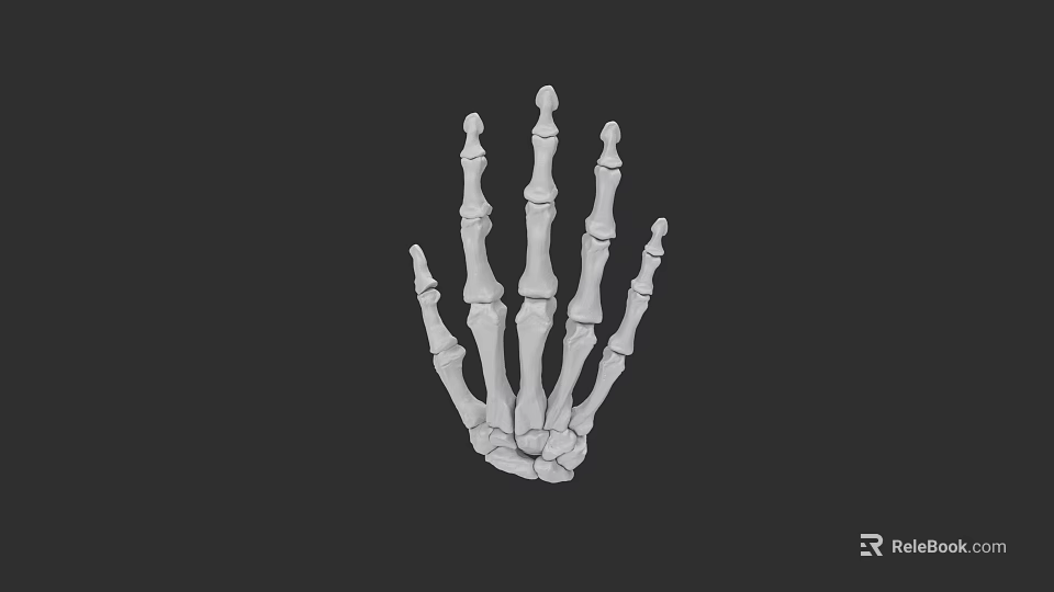 Human Hand Skeleton 3D Model Displaying Anatomical Bone Structure Against Black Background 3d model 