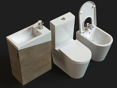 Modern Toilet with Wooden Cabinet Sink and Bidet in Bathroom Setup 3d model