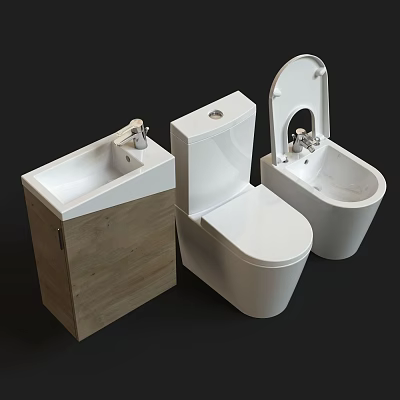 Modern Toilet with Wooden Cabinet Sink and Bidet in Bathroom Setup 3d model