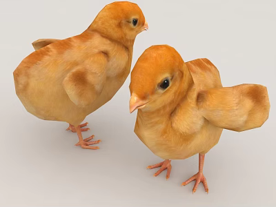 Two Yellow Baby Chickens Standing On White Background 3d model