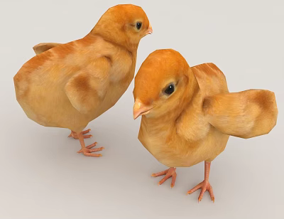 Two Yellow Baby Chickens Standing On White Background 3d model Two Yellow Baby Chickens Standing On White Background 3d model