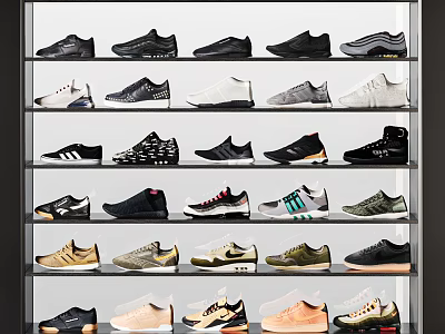 Various Stylish Shoes Neatly Displayed On Multiple Shelves With Different Designs And Colors 3d model