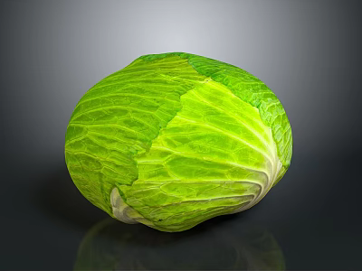 Fresh Green Cabbage with Leafy Texture Organic Raw Vegetable Ideal for Healthy Salads 3d model