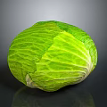 Fresh Green Cabbage with Leafy Texture Organic Raw Vegetable Ideal for Healthy Salads