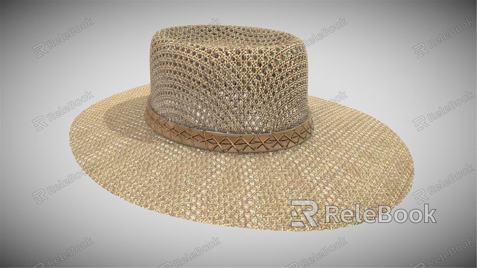 Modern Hat Sun Hat model