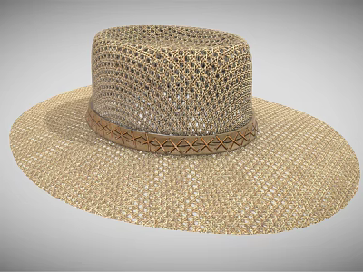 Modern Hat Sun Hat 3d model