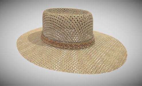 Modern Hat Sun Hat 3d model