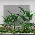 Vibrant Flowers And Lush Green Plants With Large Leaves Against Gray Grid Background