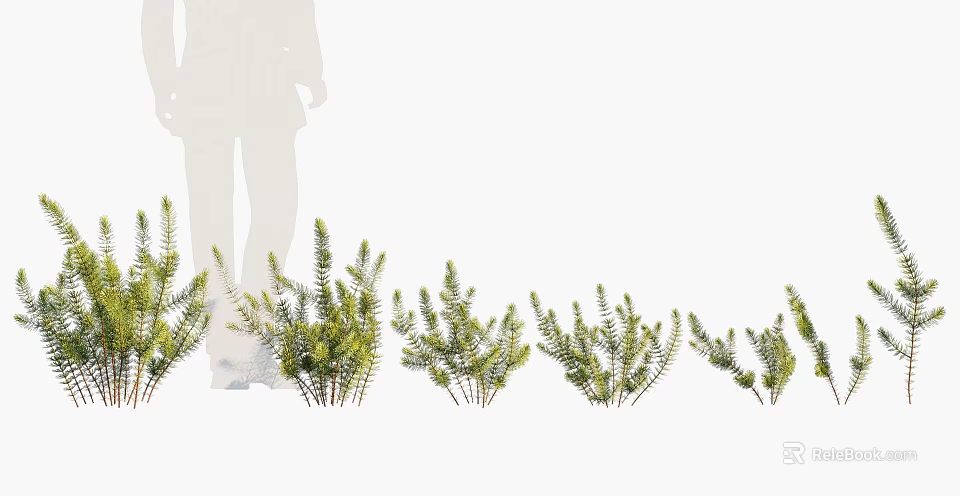 Different Types Of Green Flowering Plants Arranged In Decorative Garden 3d model 