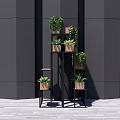 Bonsai Potted Plants Display on Black Multi Tiered Stand for Indoor Decorative Arrangement