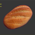 Freshly Baked Golden Oval Bread Loaf With Scored Surface And Crispy Crust