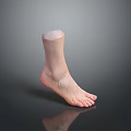 Advanced Medical Device Ankle Prosthetic Model with Lifelike Appearance and Functional Design 3d model