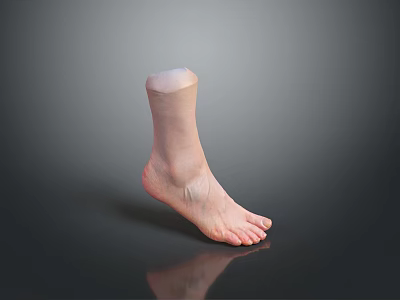 Advanced Medical Device Ankle Prosthetic Model with Lifelike Appearance and Functional Design 3d model
