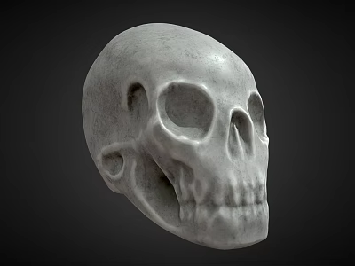 Detailed Human Skull Anatomical Model Medical Device For Medical Educational Training 3d model