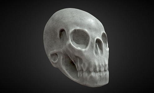 Modern Skull 3d model