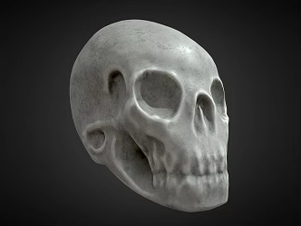 Modern Skull 3d model