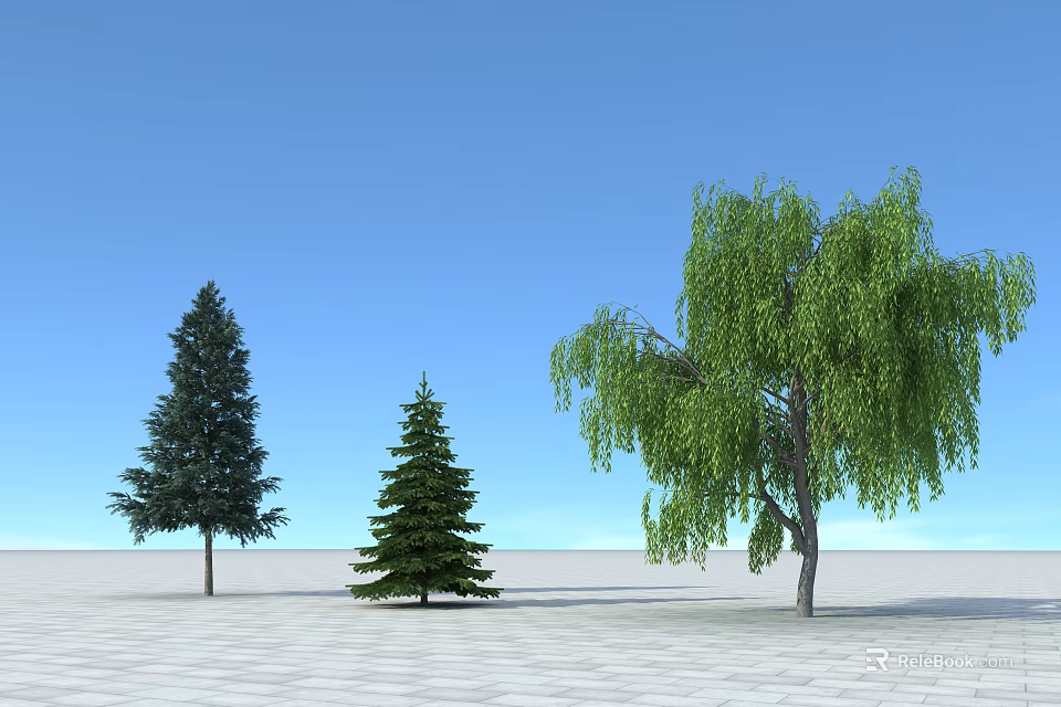 Tall and Short Pine Trees with Weeping Willow under Blue Sky on White Ground 3d model 