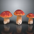 Three Fresh Red Brown Cap Mushrooms With White Stems And Glossy Surface