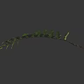 Lush Green Fern Leaf with Visible Veins and Branches Against Dark Background