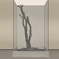Decorative Dried Tree Branch In Glass Case With Square Base And Neutral Wall