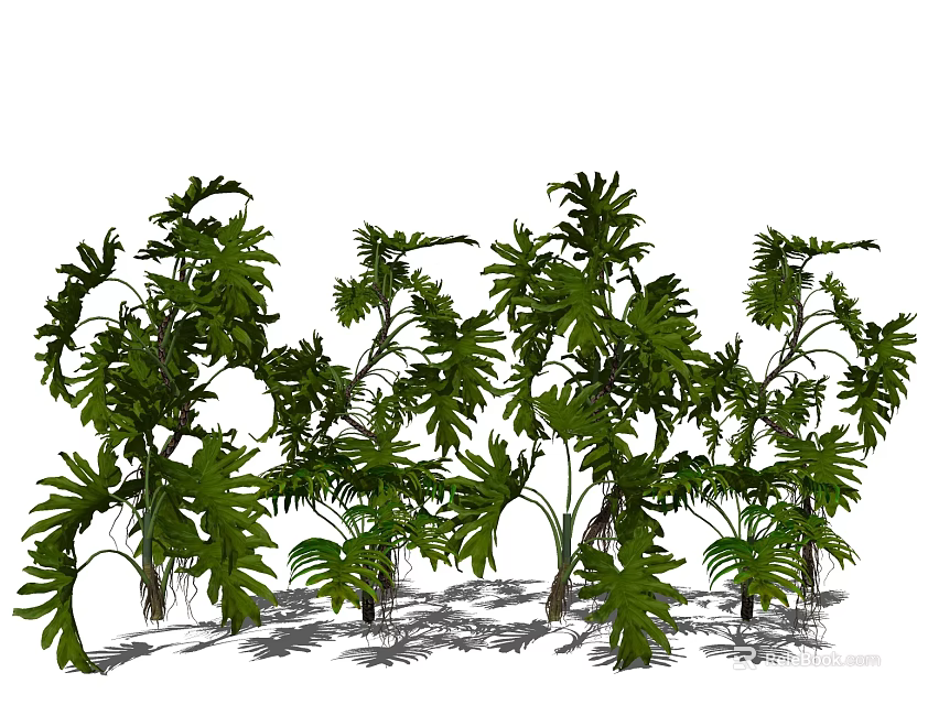 Lush Tropical Green Plants With Large Leaves And Vibrant Foliage For Garden 3d model 