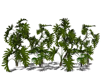 Lush Tropical Green Plants With Large Leaves And Vibrant Foliage For Garden 3d model