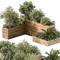 Decorative Wooden Corner Garden Planters With Various Green Plants And Lush Foliage