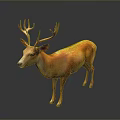 Realistic 3D Deer Model with Large Antlers and Orange Brown Fur on Dark Background