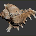 Detailed Animal Skin Organ With Thick Fur Hair And Natural Texture