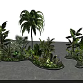 Lush Outdoor Flowers and Plants with Palm Trees Banana Leaf Ferns Curved Planter Beds