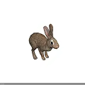 Brown Rabbit With Long Ears Sitting On Gray Background Surface 3d model