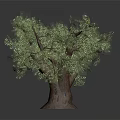 Lush Green Tree With Thick Trunk And Dense Branches On Gray Background