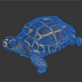 Colorful Tortoise With Yellow And Black Patterned Shell Vibrant Limbs And Head On Dark Background