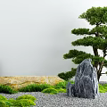 Natural Courtyard Garden With Pine Tree Rocks Green Grass And Gravel