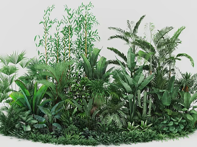 Lush Tropical Plant Combination With Diverse Green Foliage And Various Leaf Types 3d model