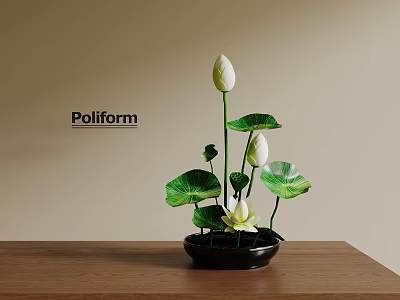 Lotus Bonsai Plant Pot With White Blooms Green Leaves In Black Pot On Wooden Table 3d model