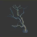 Natural Looking Decorative Dry Tree Branch With Multiple Twigs And Base