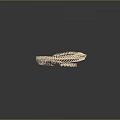 Detailed Snake Skeleton In Coiled Spiral Shape With Light Beige Hue And Smooth Texture