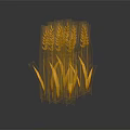 Golden Wheat Ears As Fresh Food Ingredient On Dark Background With Reflection