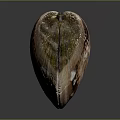 Natural Brown Pink Shell With Spotted Texture And Shiny Surface On Dark Background