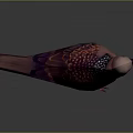 Pink Purple Feathered Pigeon With White Spotted Wings And Red Feet On Gray Gradient Background