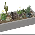 Mixed Succulent Plants In White Rectangular Planter With Cactus Small Stones And Yellow Flowers