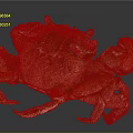Whole Cooked Brown Crab With Shiny Shell Large Claws And Legs