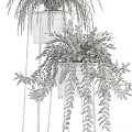 Indoor Potted Plants With Fern Palm And Metal White Stands For Home Decor
