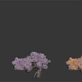 Colorful Decorative Trees With Pink White Purple Orange Foliage On Dark Background