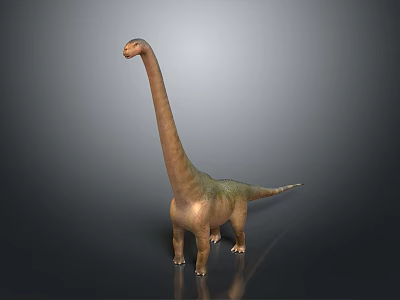 Realistic Sauropod Dinosaur 3D Model With Long Neck Standing On Gray Background 3d model
