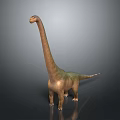 Realistic Sauropod Dinosaur 3D Model With Long Neck Standing On Gray Background